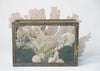 Vintage Fish Tank