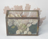 Vintage Fish Tank