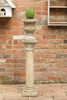 Vintage Corinthian Style Column Pedestal