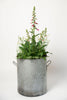 Gorgeous vintage galvanised planter tub