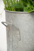 Gorgeous vintage galvanised planter tub