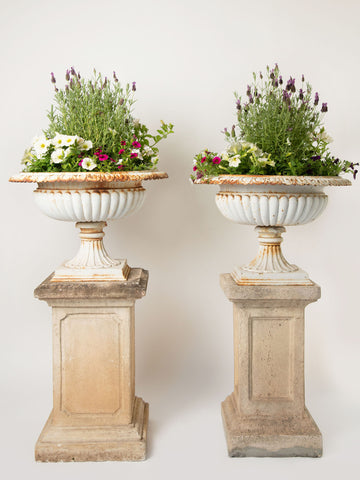 Stunning Pair white antique 19th Century Cast Iron Tazza urns