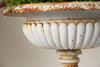 Stunning Pair white antique 19th Century Cast Iron Tazza urns