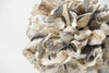 Decorative Oyster Shell Balls