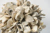 Decorative Oyster Shell Balls