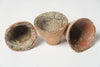 Antique French Pine Resin terracotta pots