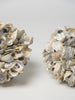 Decorative Oyster Shell Balls