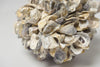 Decorative Oyster Shell Balls