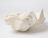 Complete Ruffle Clam shell