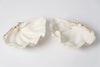 Complete Ruffle Clam shell