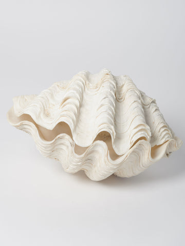 Complete Ruffle Clam shell