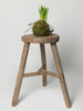 Antique Chinese rustic milking stools, circa 1900