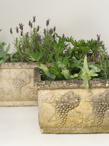 Antique French Composite Stone Trough Planters