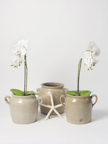 Vintage French Confit pots from Digoin, Burgundy