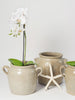 Vintage French Confit pots from Digoin, Burgundy