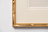 Antique 19th Century Fern Prints in bespoke gilt bamboo frames