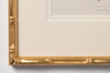Antique 19th Century Fern Prints in bespoke gilt bamboo frames