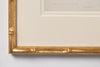 Antique 19th Century Fern Prints in bespoke gilt bamboo frames