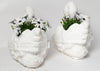 Pair Vintage Garden Swan Planters