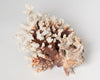 Antique Coral piece