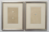 ANTIQUE 19TH CENTURY BIRD EGG BOOKPLATES, MOUNTED AND FRAMED