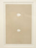 ANTIQUE 19TH CENTURY BIRD EGG BOOKPLATES, MOUNTED AND FRAMED