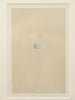 ANTIQUE 19TH CENTURY BIRD EGG BOOKPLATES, MOUNTED AND FRAMED