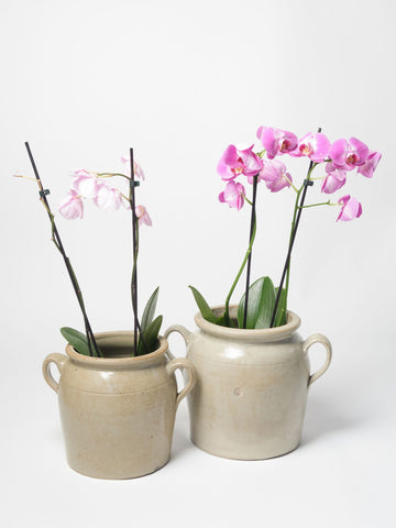 Pair Vintage Burgundy Confit Pots with ears