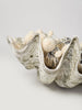 Beautiful Huge Tridacna Gigas Clam Shell