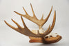 Antique Swedish Elk Skull and Antlers on Shield