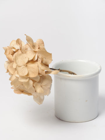 Small antique French White confit pot