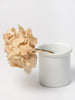 Small antique French White confit pot