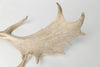 Pair Vintage Fallow deer antlers