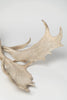 Pair Vintage Fallow deer antlers
