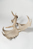 Pair Vintage Fallow deer antlers