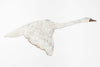 Beautiful Metal Profile Of A Shaker Style Flying Swan