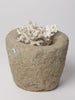 Antique French Stone Mortar