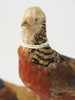 Pair Vintage Golden Pheasants Taxidermy Birds