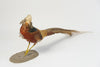 Pair Vintage Golden Pheasants Taxidermy Birds