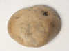 Amazing Antique Swedish Root Bowl