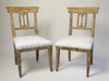 Antique Swedish Gustavian Chairs