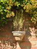 Antique French Terracotta Roof Tile wall planters