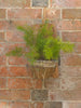 Antique French Terracotta Roof Tile wall planters