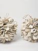 Decorative Oyster Shell Balls