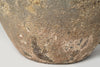 Beautiful large Barnacled textured jar lamp