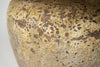 Beautiful large Barnacled textured jar lamp