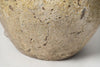 Beautiful large Barnacled textured jar lamp