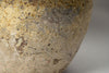 Beautiful large Barnacled textured jar lamp