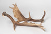Pair Vintage Fallow Deer antlers