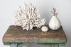 Antique Spanish artist's sculptures/sculptor's table